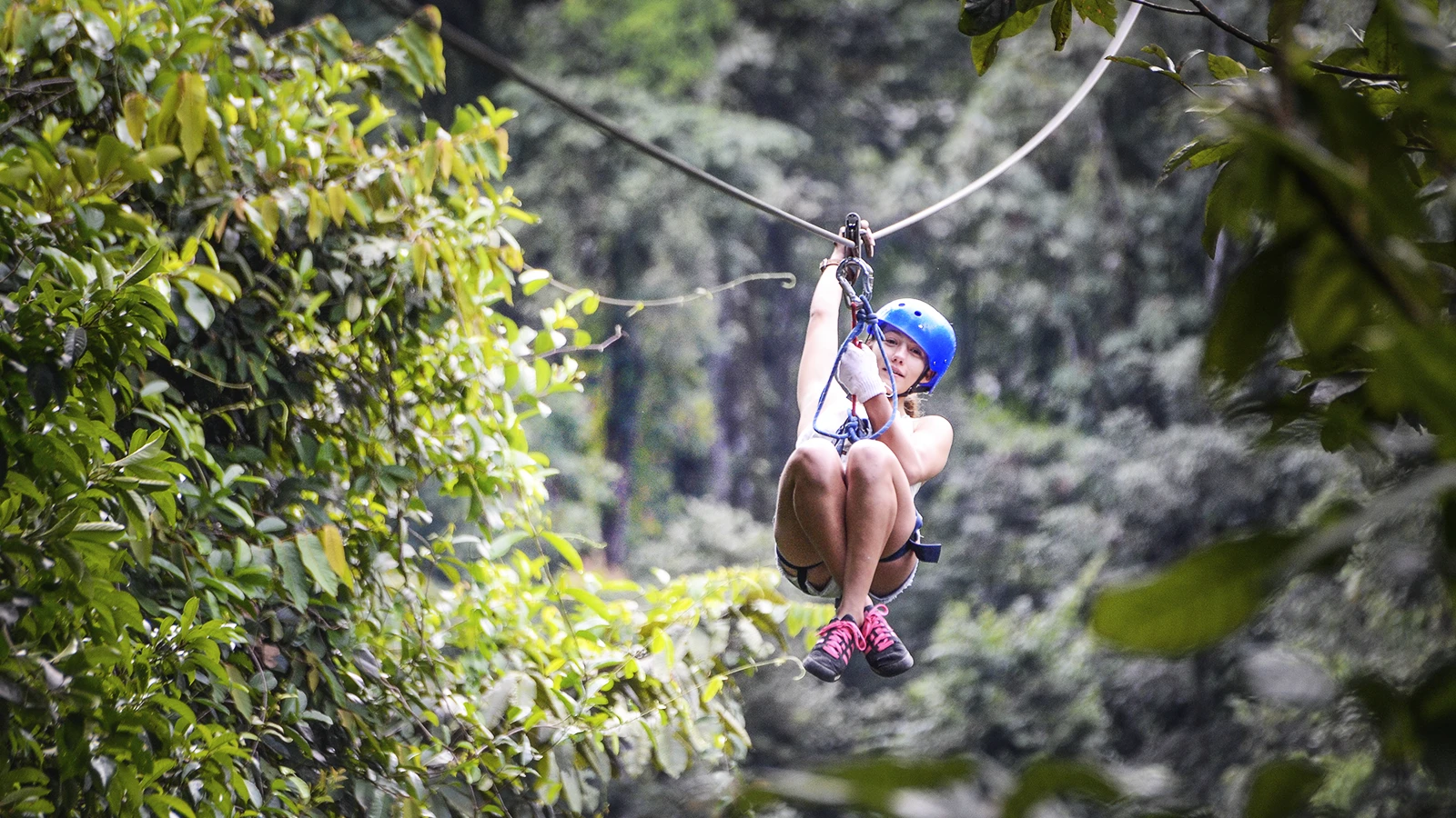 Zipline