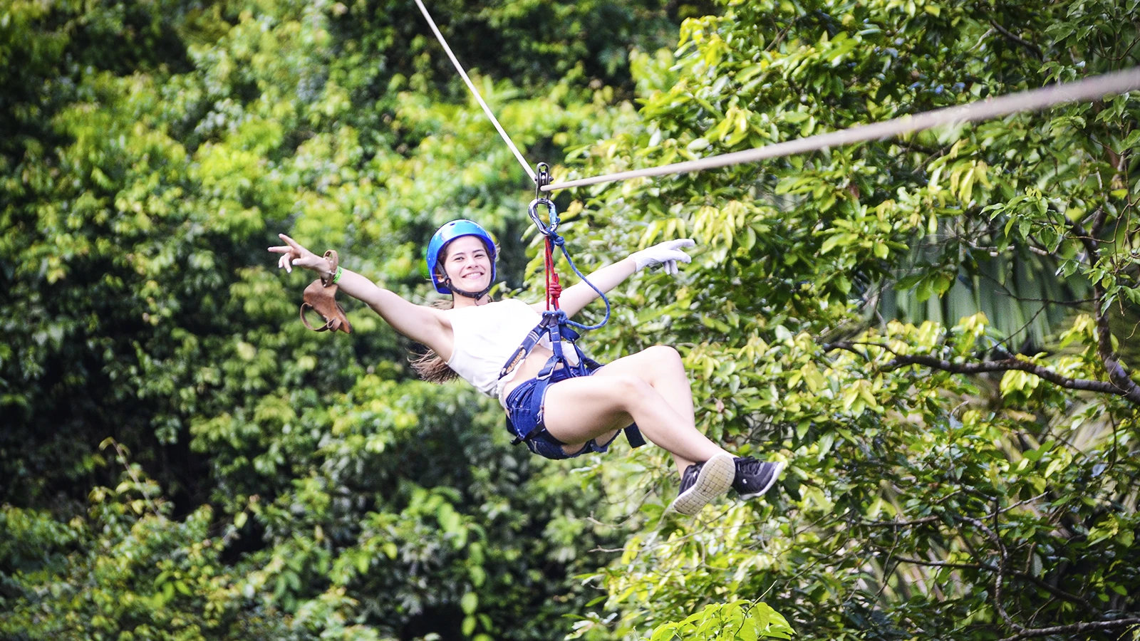 Zipline