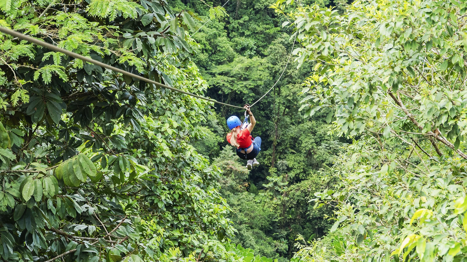Zipline